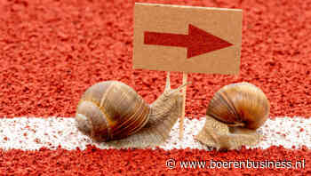 ‘Dom en ongewenst’ kabinet kruipt naar startblok