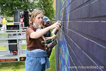 Woonmaatschappij pakt uit met opvallend parcours met werk van vrouwelijke streetart