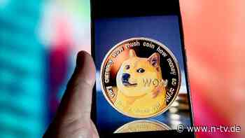 Hündin wurde etwa 18 jahre alt: Internet-Berühmtheit Kabosu ist tot