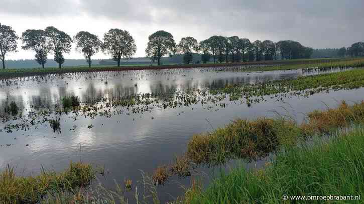 Regen zet akkers blank, boeren balen en waterschappen werken zich suf