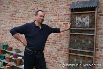 Fruitbedrijf Cocquyt draagt steentje bij tijdens Week van de Bij: “Diertjes zijn van onschatbare waarde voor de kersenteelt”