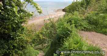 Investigation launched after body found on County Durham beach