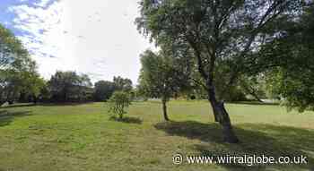 Rejected Lidl plans for Upton being put forward again