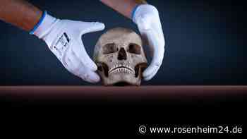 Schock-Fund in Bayern: Passant entdeckt menschlichen Schädel neben Autobahn