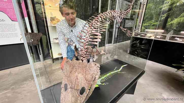 Deze 220 miljoen jaar oude mega-salamander staat nu in het Oertijdmuseum
