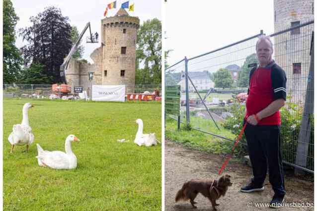 Leeggepompte slotgracht veroorzaakt onrust bij eenden en ganzen: “Het lijkt wel alsof ze een mistroostige blik in hun ogen hebben”