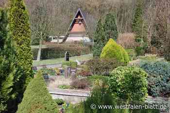 2,5-Millionen-Förderung für Stemwede: Nur SPD-Fraktion schert aus