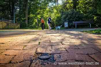 Radweg-Poller entfernt: Bürger sauer über Autos im Dustholz
