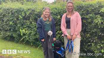 Girl, 9, and her assistance dog shortlisted for award