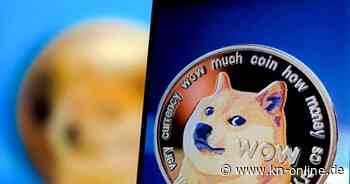 Doge-Meme: Berühmteste Hündin des Internets „Kabosu“ ist tot
