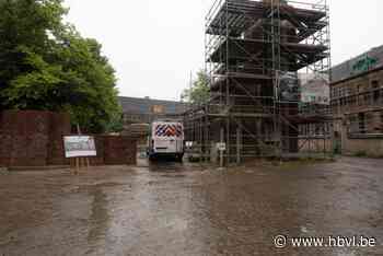Begijnhof Hasselt zet deuren open voor Open Wervendag: “Dit is een verhaal van een stad in de stad, dat mag niet verloren gaan”