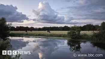 Child contracts Weil's disease after river swim