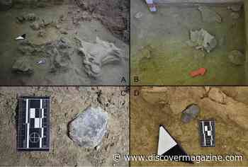 Hunter-Gatherers Butchered an Extinct Elephant at This Ancient Campsite