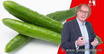 Komkommertijd bestaat niet meer, maar soms verlang je ernaar terug