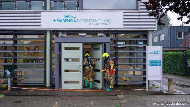 Dierenziekenhuis ontruimd, katje in brandweerwagen opgevangen
