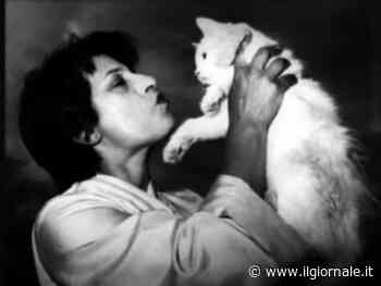 Anna Magnani, la più grande "gattara" di Roma
