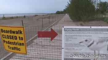 Piping plovers return to Wasaga Beach Provincial Park