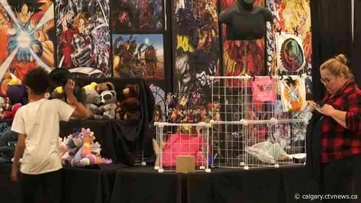 Organizers have high hopes as Lethbridge launches its first collector and entertainment expo