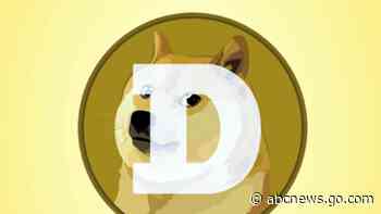 The Shiba Inu that became meme famous as the face of dogecoin has died. Kabosu was 18
