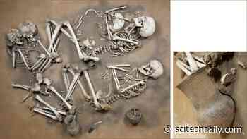 7,500-Year-Old Pottery Reveals Secrets of Ancient European Diets