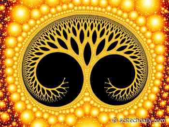 Echoes of Evolution: Unveiling Nature’s Repetitive Secrets in Stick Insects