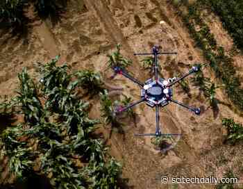 AI in the Fields: Revolutionizing Agriculture With Smart Technology