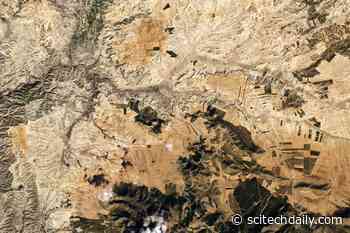 Archaeological Wonderland: Unearthing Orce’s Ancient Secrets Through Fossils