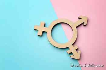 Startling Gaps in Transgender Treatment Evidence “Largely Ignored” in the US