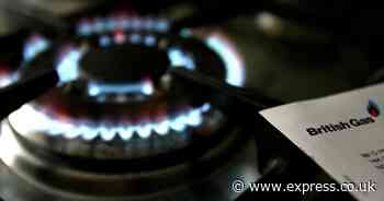 British Gas, EON, EDF and Octopus Energy customers handed £360 boost today
