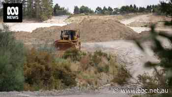 Gold mine general manager resigns months after deadly rockfall