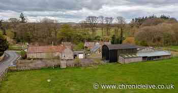 'Opportunity to create dream farm' in Northumberland hits the market