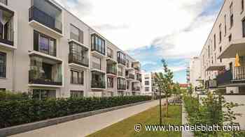 Immobilien: „Noch nicht erlebt“ – Wie Immobilien-Profis jetzt agieren