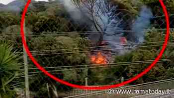 Incendio a Ostia, fiamme alte e fumo nero nella pineta di Castel Fusano