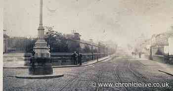 Huge Newcastle photo archive provides lookback at 150 years of the city