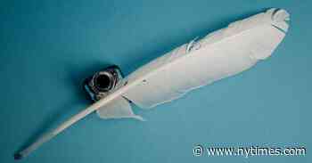 Read Like the Wind: Bill Cunningham’s Photos and Gwendolyn Brooks’s Life