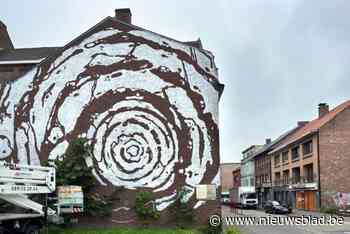 Huizenhoog kunstwerk van Jan Rosius in Genkse Grotestraat krijgt vorm, maar wat is het?