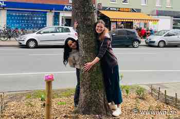 Warum ein FÖJ keine Zeitverschwendung ist