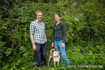 Vergeet de omheining met prikkeldraad, hier is het haagdichten: “Kantklossen met levend materiaal”