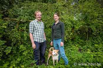 Vergeet de omheining met prikkeldraad, hier is het haagdichten: “Kantklossen met levend materiaal”