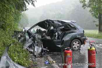 Autofahrer aus Löhne gerät unter Lkw und stirbt