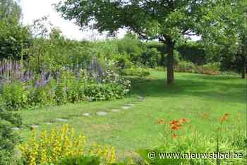 Bescherm de tuin tegen veranderend klimaat met eenvoudige ingrepen