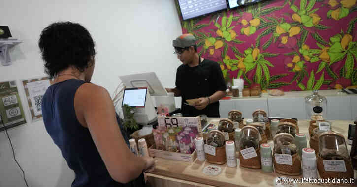 Nuovo giro di vite del governo sulla cannabis light. Esperto: “Così numerosi ricorsi e contenziosi”