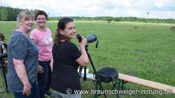 Rätsel in Wasbüttel: Wo ist der vierte Jungstorch geblieben?