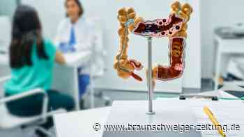 Schlüssel zu Gesundheit: Programmieren Sie Ihr Mikrobiom um