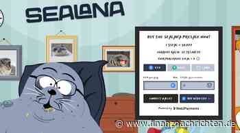 Dogwifhat vs Bonk: Welcher Solana Meme Coin ist die bessere Wahl?