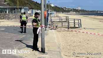 Boy, 17, arrested after woman stabbed to death on beach