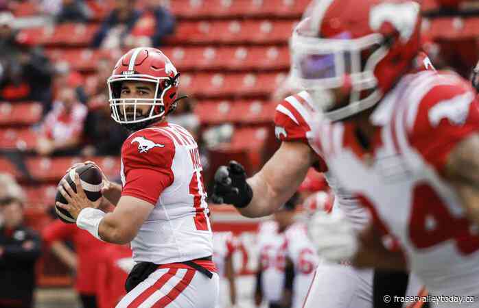 Stampeders pounce on Lions for 30-6 pre-season win