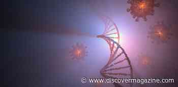 AI Can Help Us Know What Viruses Are Up To In The Oceans And In Our Guts