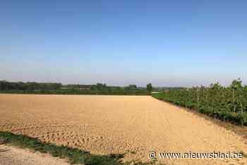 Glabbeek voorspelt daling van aantal inwoners: “Op het platteland is betaalbaarder wonen quasi onmogelijk”