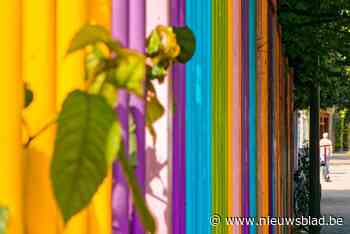 STRAATFOTOGRAAF. “Overal waar kinderen komen, krijgt de omgeving een kleur”